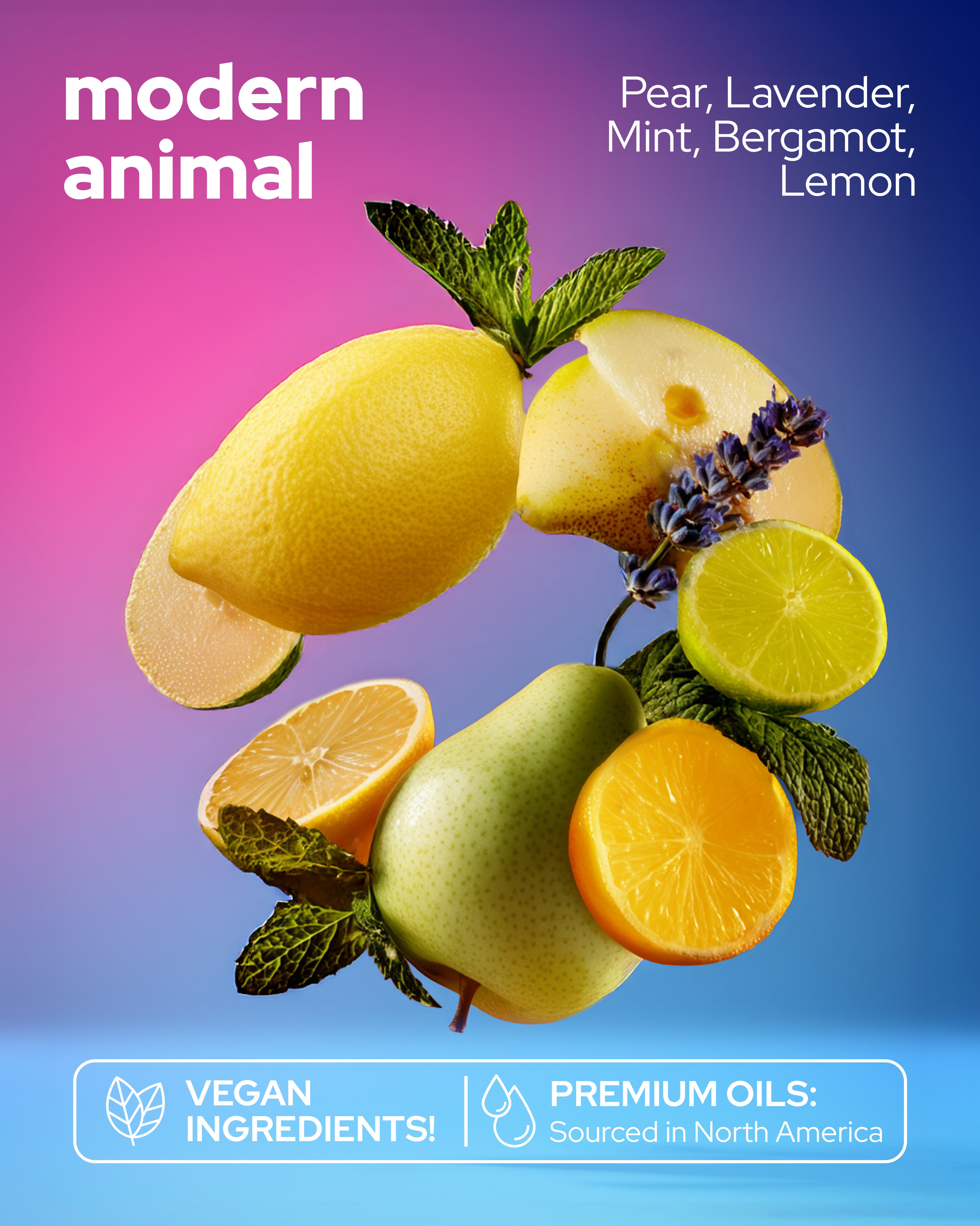 Modern Animal